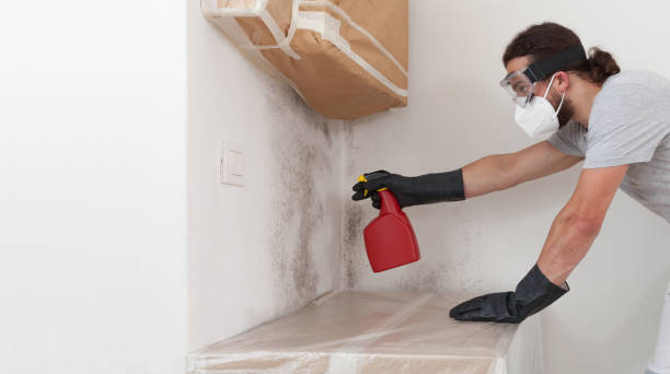 Professional Black Mold Remediation technician working in Columbus, NJ