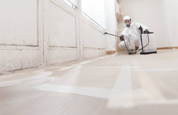 24/7 Emergency Black Mold Remediation experts in Columbus, NJ