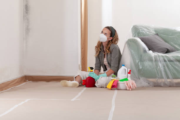 Reliable Black Mold Remediation contractor in Columbus, NJ by Car Mold Remediation